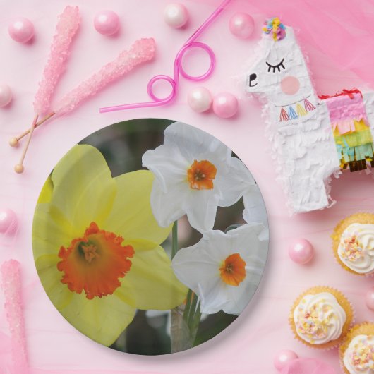 Frühlingsduft Blütenblüten Pappteller (Party)