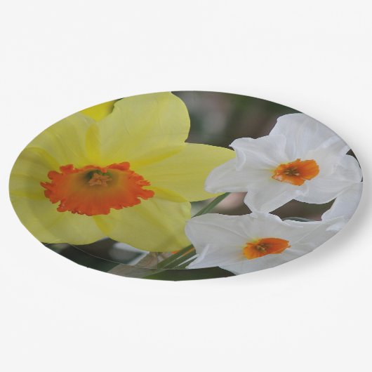 Frühlingsduft Blütenblüten Pappteller (Schrägansicht)