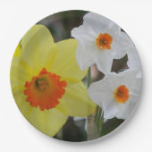 Frühlingsduft Blütenblüten Pappteller (Vorderseite)