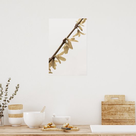 Frühlingsduschen auf Forsythia Blume Poster (Küche)