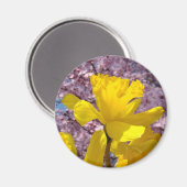 Frühlingsdüster Magnet spendet rosa Blüten (Vorderseite/Rückseite)