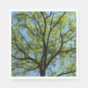 Frühlingseiche Baum Lebendige Natur Serviette