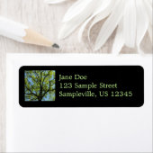 Frühlingseichenbaum Lebendige Natur (Insitu)