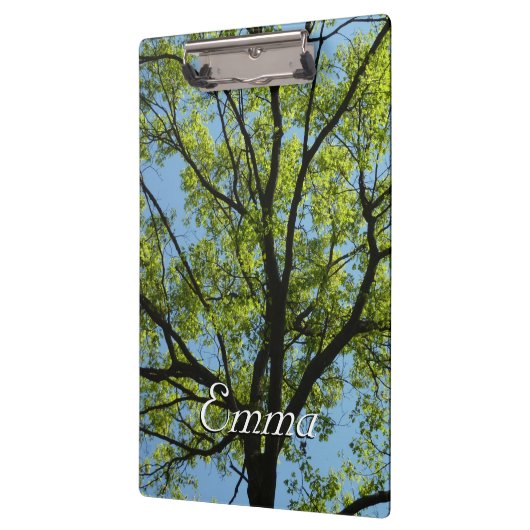 Frühlingseichenbaum Lebendige Natur Klemmbrett (Links)