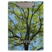 Frühlingseichenbaum Lebendige Natur Klemmbrett (Vorderseite)