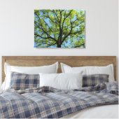 Frühlingseichenbaum Lebendige Natur Leinwanddruck (Insitu (Schlafzimmer))