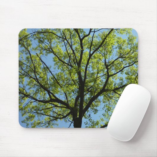 Frühlingseichenbaum Lebendige Natur Mousepad (Mit Mouse)