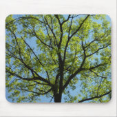 Frühlingseichenbaum Lebendige Natur Mousepad (Vorne)