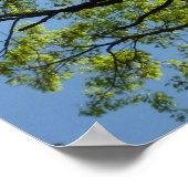 Frühlingseichenbaum Lebendige Natur Poster (Ecke)
