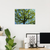 Frühlingseichenbaum Lebendige Natur Poster (Heimbüro)