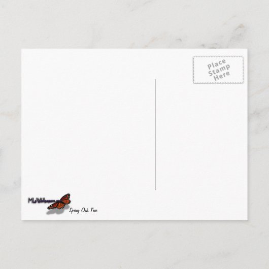 Frühlingseichenbaum Lebendige Natur Postkarte (Rückseite)