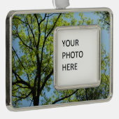 Frühlingseichenbaum Lebendige Natur Rahmen-Ornament Silber (Rechts)