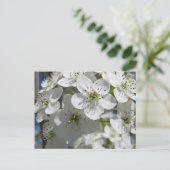 Frühlingserblühende Blume Postkarte (Stehend Vorderseite)