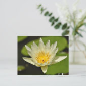 Frühlingserfahrung Blume - Postkarten (Stehend Vorderseite)