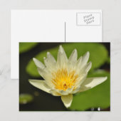 Frühlingserfahrung Blume - Postkarten (Vorne/Hinten)