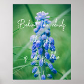 Frühlingserie Blume (Traubenreste) Poster (Vorne)