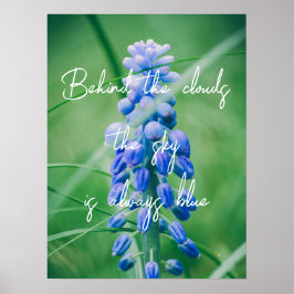Frühlingserie Blume (Traubenreste) Poster