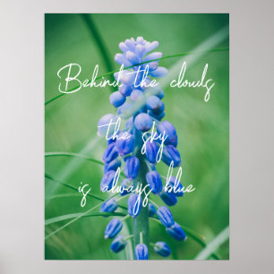 Frühlingserie Blume (Traubenreste) Poster