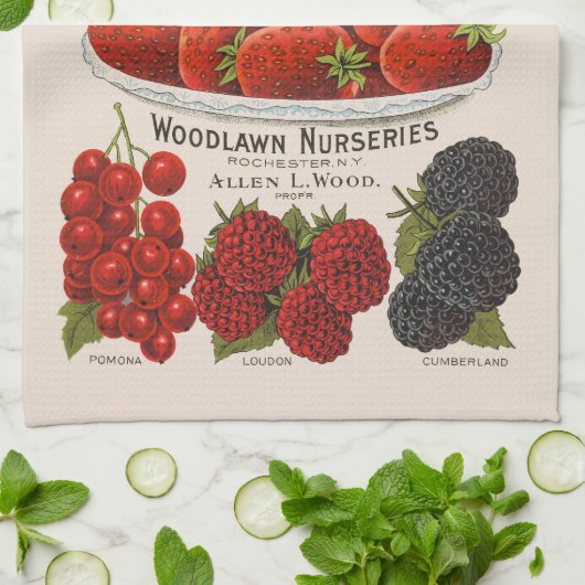 Frühlingserreger Geschirrtuch (Gefaltet)