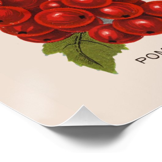 Frühlingserreger Poster (Ecke)