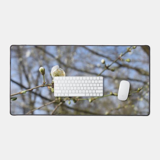 Frühlingserwachen, Blütenkarte der Wildkirsche Schreibtischunterlage (Tastatur & Maus)