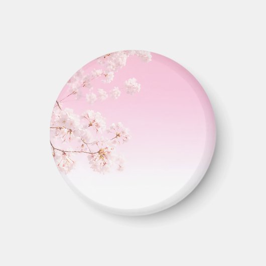Frühlingserwachen mit rosa Kirschblüten Magnet (Vorne)