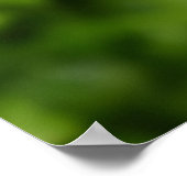 Frühlingserwachen, nur ein wenig Blüte Poster (Ecke)