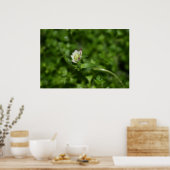 Frühlingserwachen, nur ein wenig Blüte Poster (Küche)