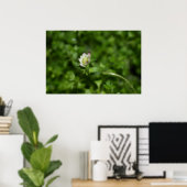 Frühlingserwachen, nur ein wenig Blüte Poster (Heimbüro)