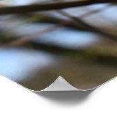 Frühlingserwachen Poster (Ecke)