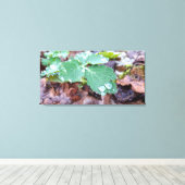 Frühlingserwachen, regnerische Tage Leinwanddruck (Insitu (Holzboden))