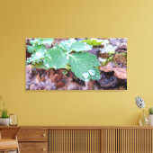 Frühlingserwachen, regnerische Tage Leinwanddruck (Insitu (Wohnzimmer))