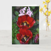 Frühlingserwachen , Tulips Card Karte (Gelbe Blume)