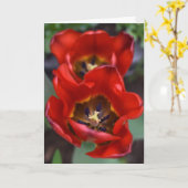 Frühlingserwachen, Tulips Karte (Gelbe Blume)