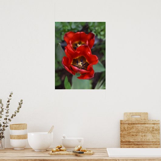 Frühlingserwachen, Tulips Poster (Küche)