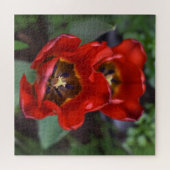 Frühlingserwachen, Tulips Puzzle (Horizontal)