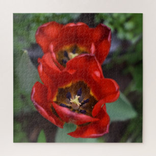 Frühlingserwachen, Tulips Puzzle
