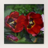 Frühlingserwachen, Tulips Puzzle (Horizontal)