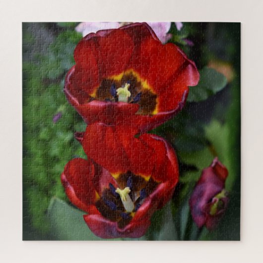 Frühlingserwachen, Tulips Puzzle (Vertikal)