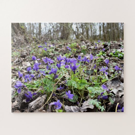 Frühlingserwachen , Waldbrände , Blume , März Veil Puzzle (Horizontal)