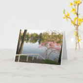 Frühlingsfarbe am Piniensee #2 Karte (Gelbe Blume)