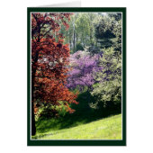 Frühlingsfarben (Vorne)
