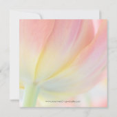 Frühlingsfarben ・ Ankündigung Datum freihalten (Rückseite)