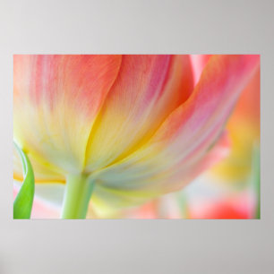 Frühlingsfarben Poster