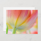 Frühlingsfarben ・ Postkarte (Vorne/Hinten)