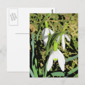 Frühlingsfarben Postkarte (Vorne/Hinten)