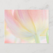 Frühlingsfarben ・ Save the Date Postkarte (Rückseite)