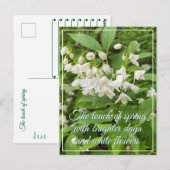 Frühlingsfeiertag mit Blumen  Postkarte (Vorne/Hinten)