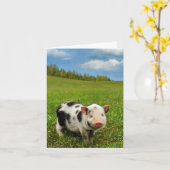 Frühlingsferkel Karte (Gelbe Blume)
