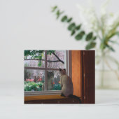 Frühlingsfieber Postkarte (Stehend Vorderseite)